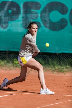 Bild 117 - Klippeldon